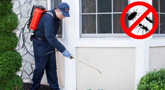 Yayladağı Haşere İlaçlama böcek ilaçlama ve haşere kontrolü — ilaclama-tr.com